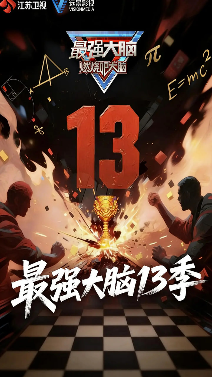 最强大脑 第十三季